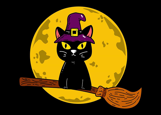 Black cat witch halloween