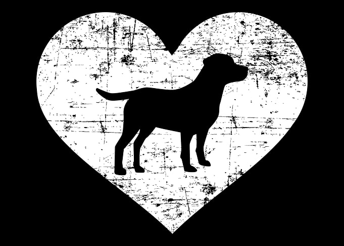 Labrador