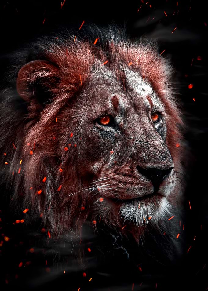 fire lion head work art