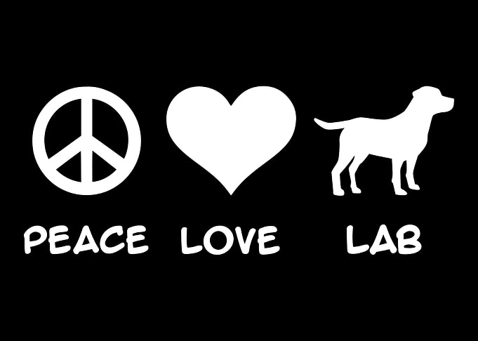 Labrador