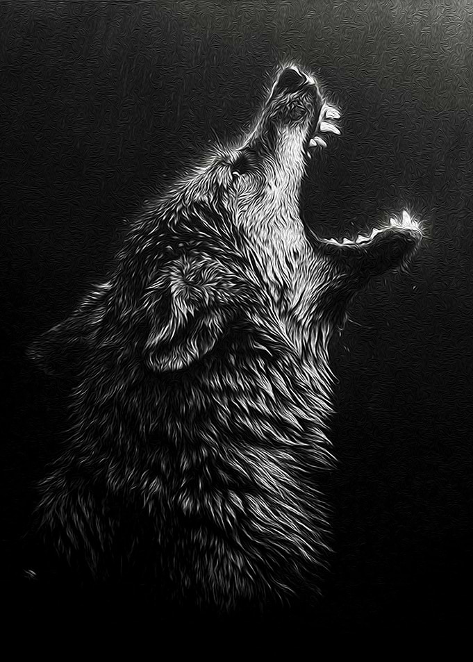 angry black wolf headpaint