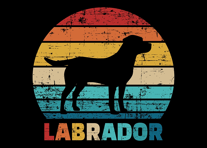 Labrador