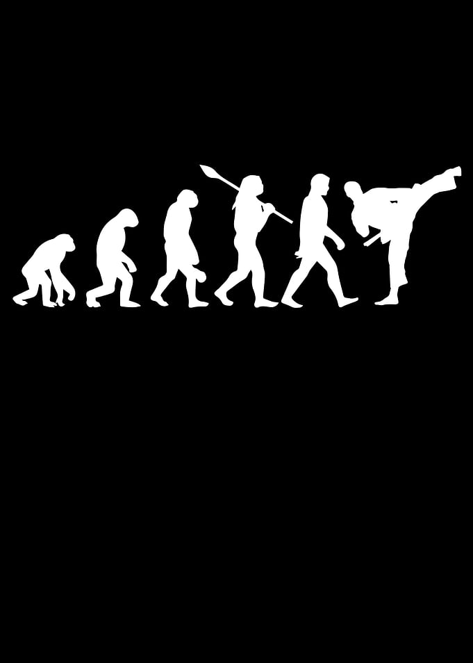 Aikido Evolution
