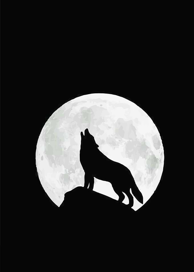 MR WOLFY 2