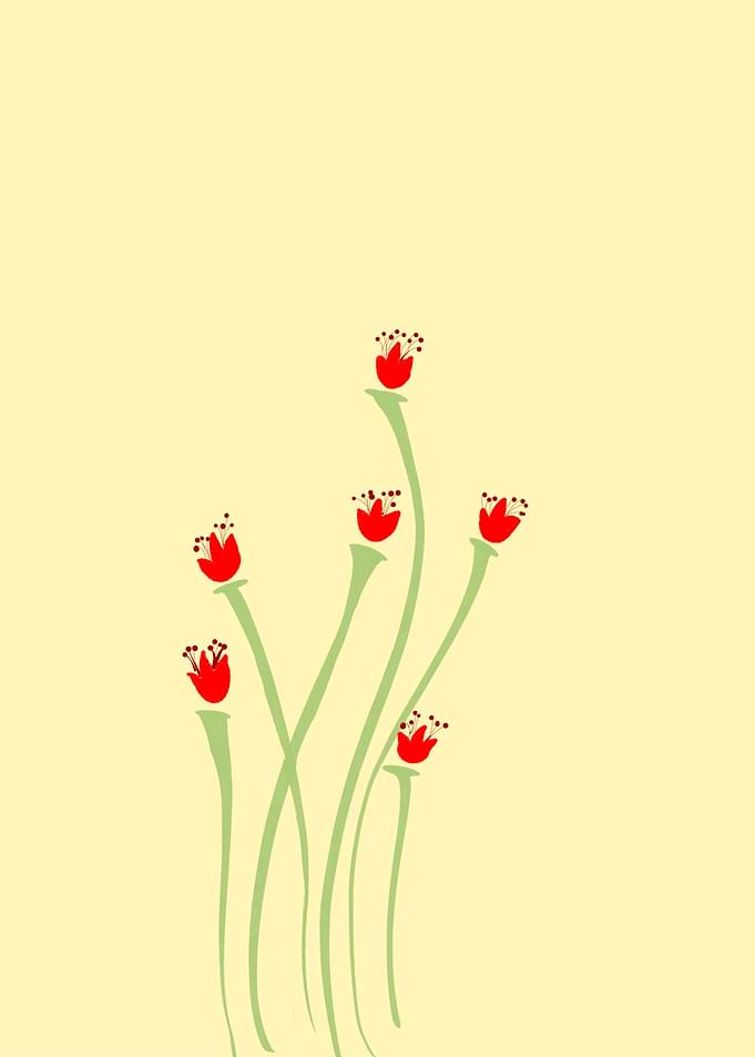 Delicate flowers