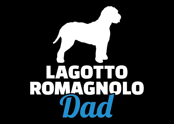 Lagotto Romagnolo