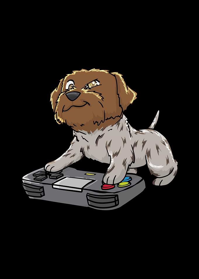 Wirehaired Pointing Griffo