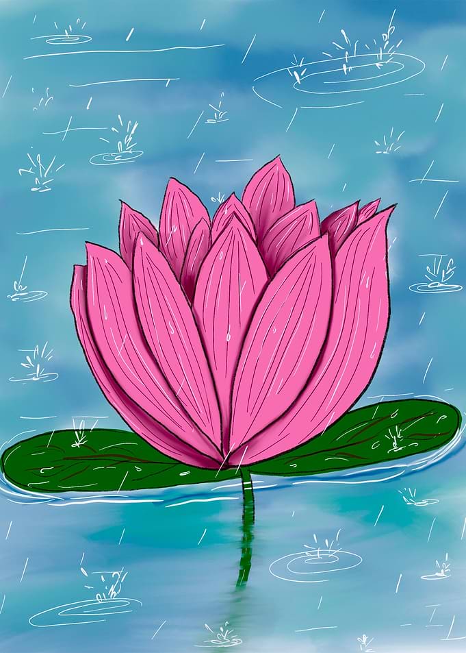 Lotus in a Pond