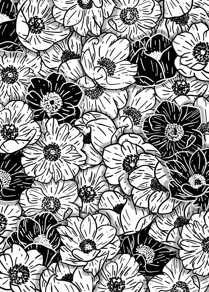 Anemone