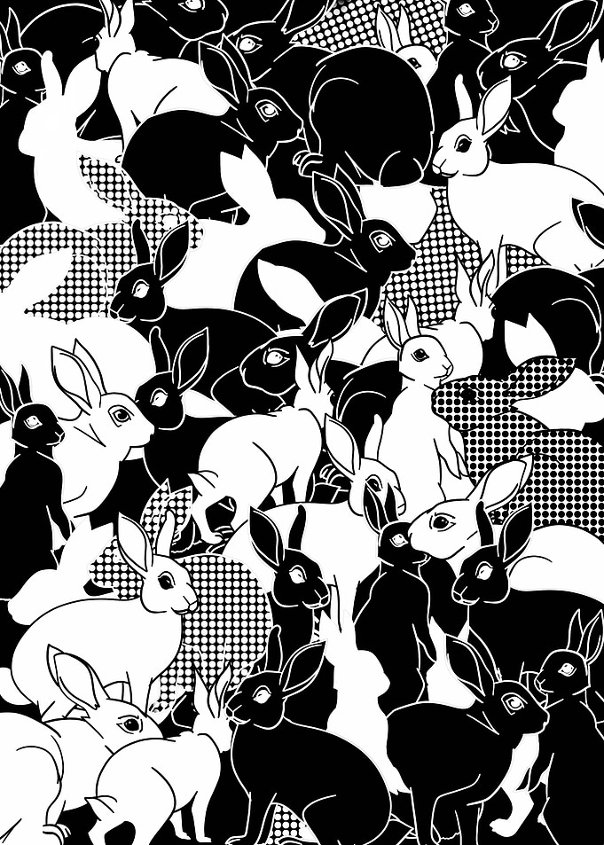 White Rabbit