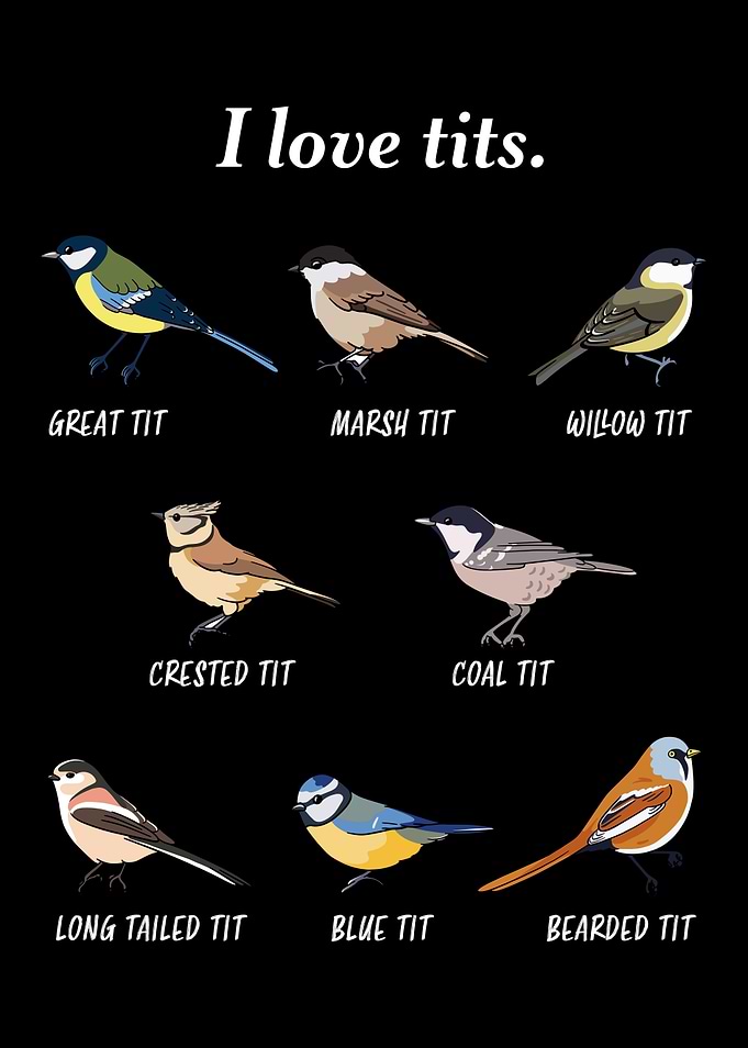 bird watching funnt gift