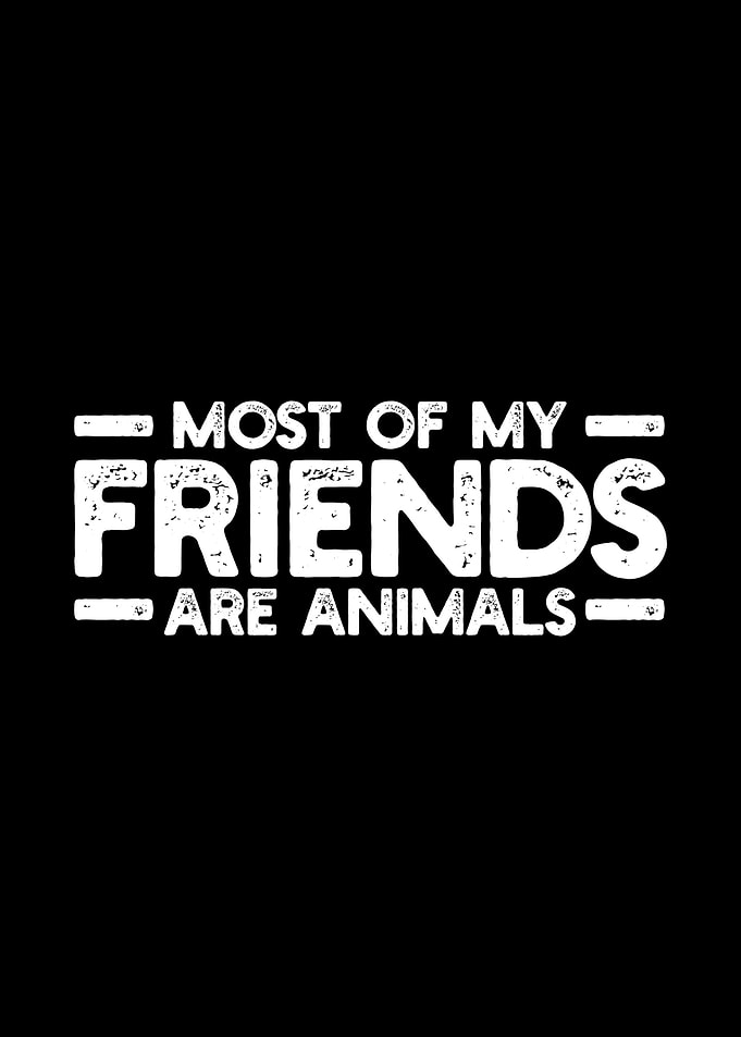 Animals Animal Lover Vegan