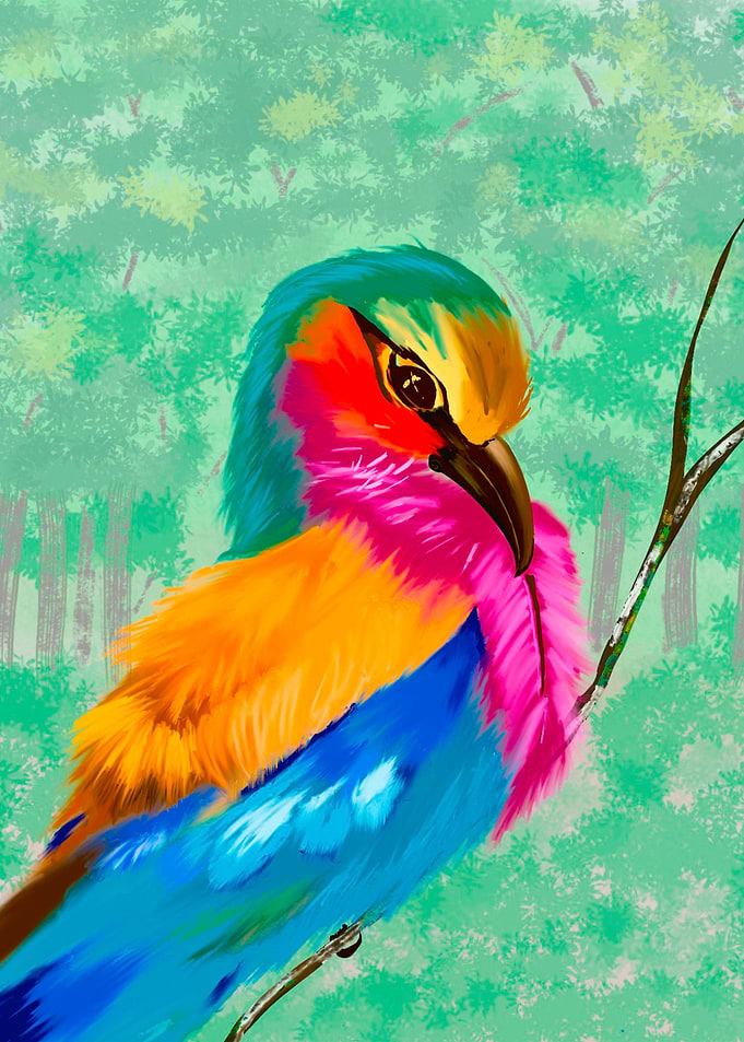 Feathers