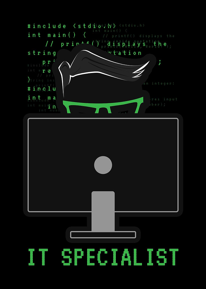 Programmer IT Professional