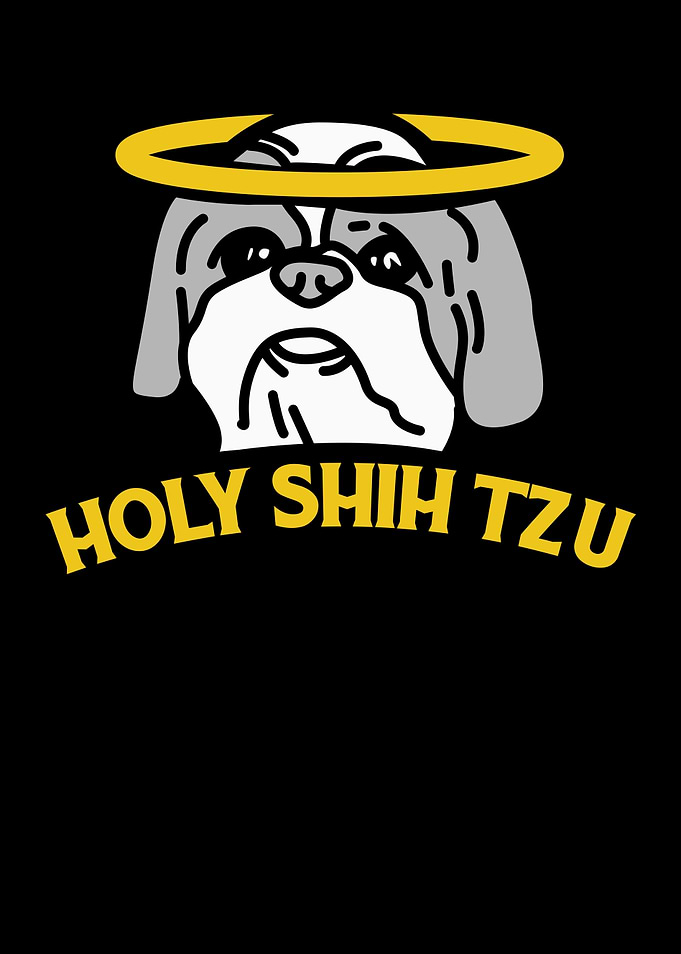 Shih Tzu