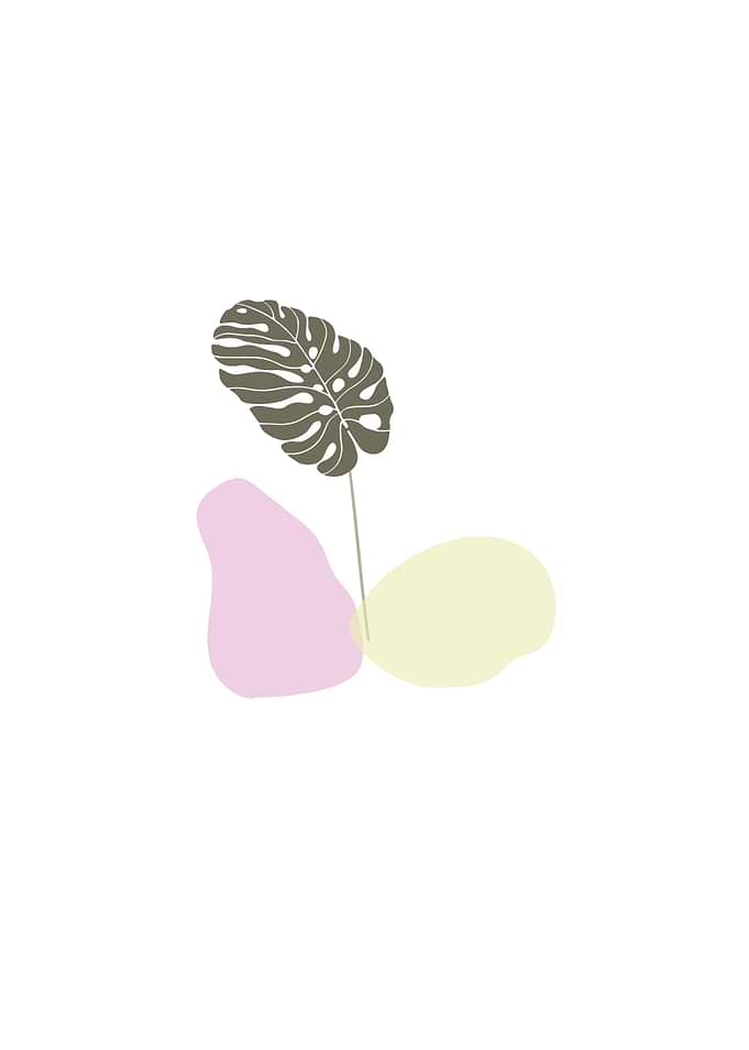 Minimalist In Nature