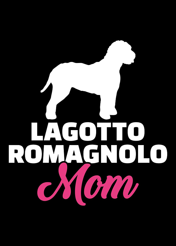 Lagotto Romagnolo