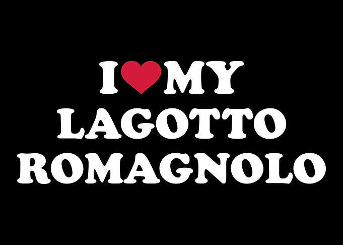 Lagotto Romagnolo