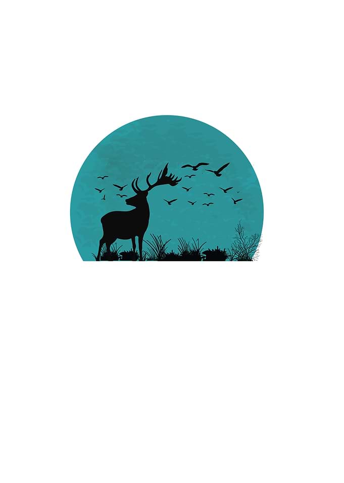 Aqua Forest