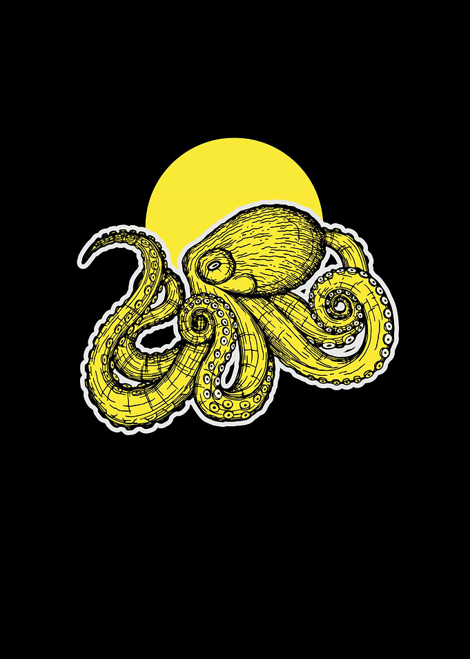 The Sun and The Octopus