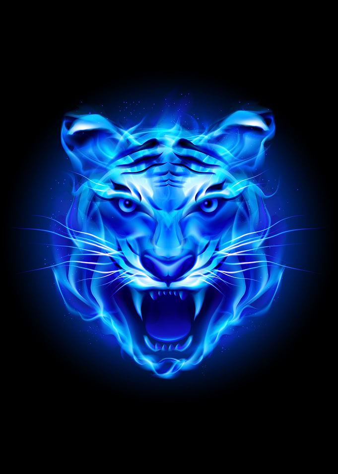 Blue Fire Tiger