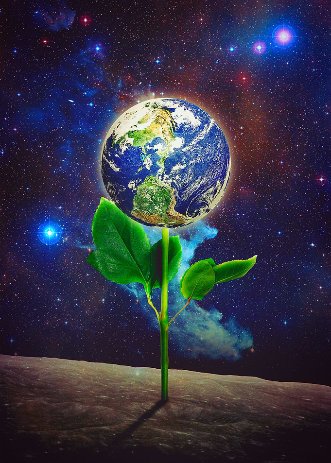 The Planted Seed