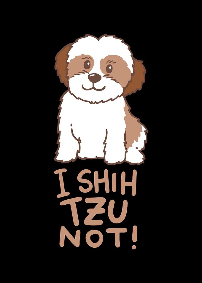 Shih Tzu