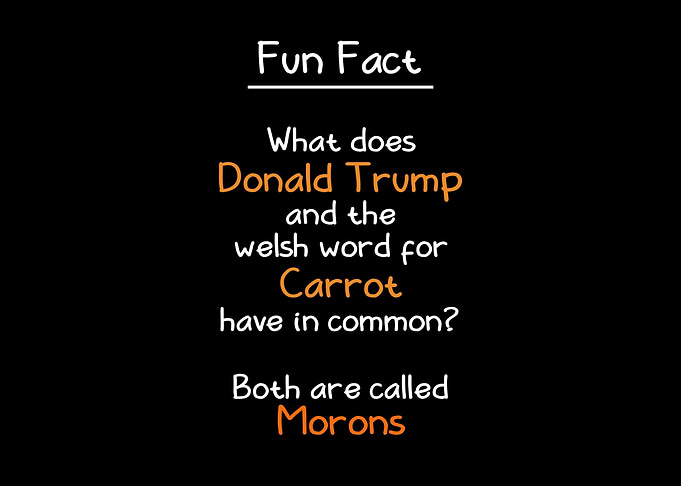 Trump and Welsh Carrot