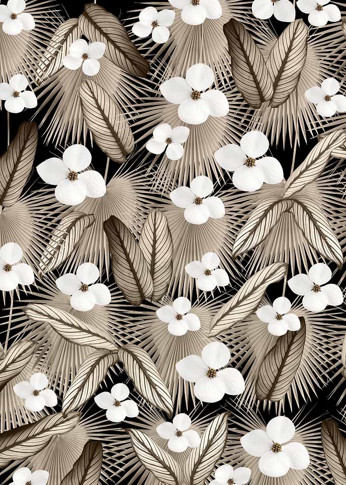 Calathea Palm Floral 3