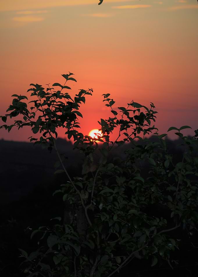 Sunset Poster