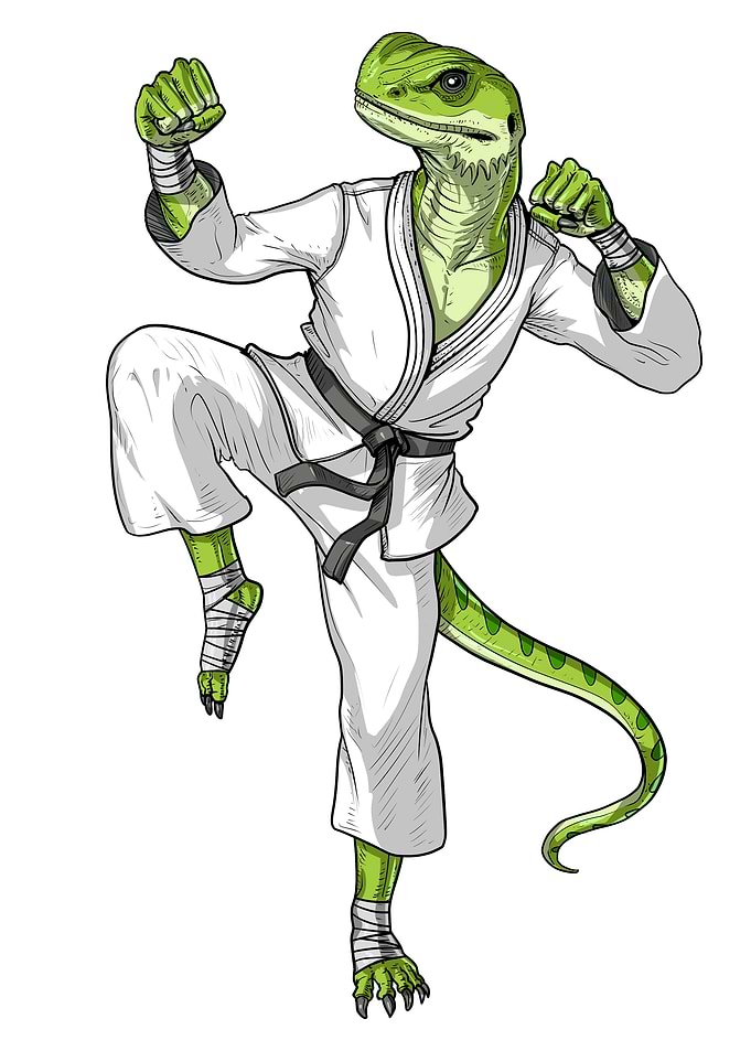 Karate Gecko Lizard
