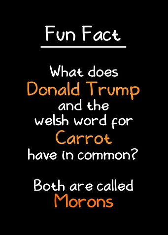 Trump and Welsh Carrot