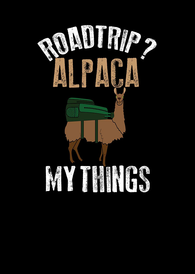 Alpaca Gift