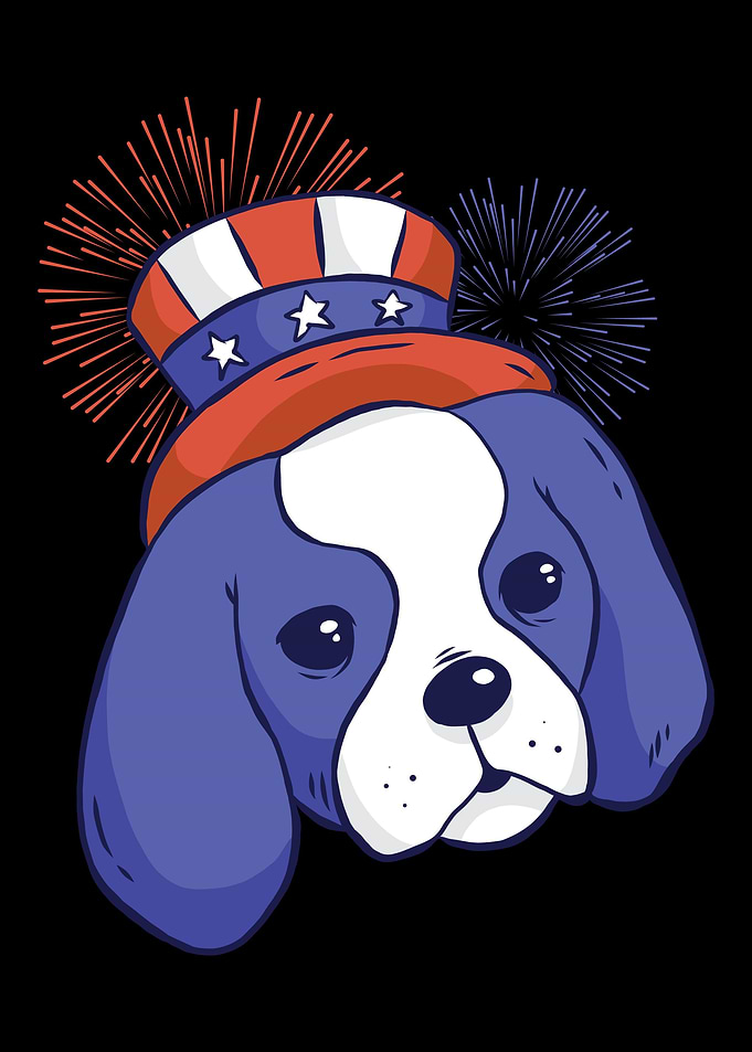 America gift