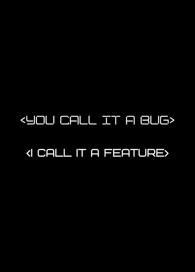 Funny Developer Quote