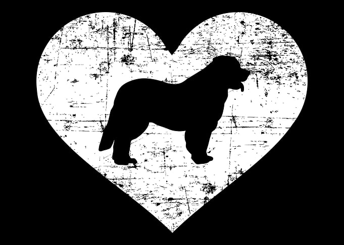 Leonberger
