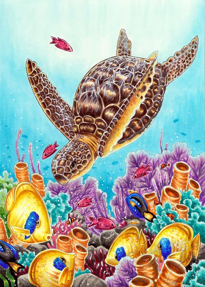 Under the sea
