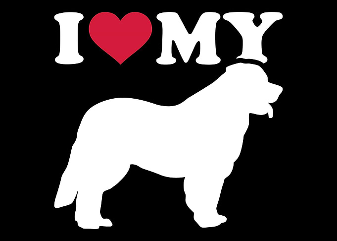 Leonberger