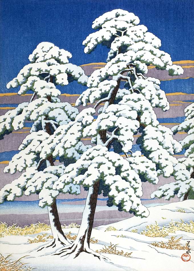 Pine Trees After Snow