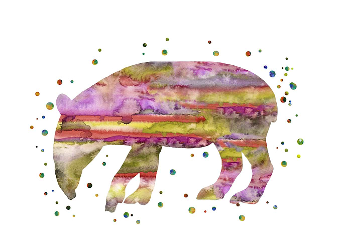 Tapir