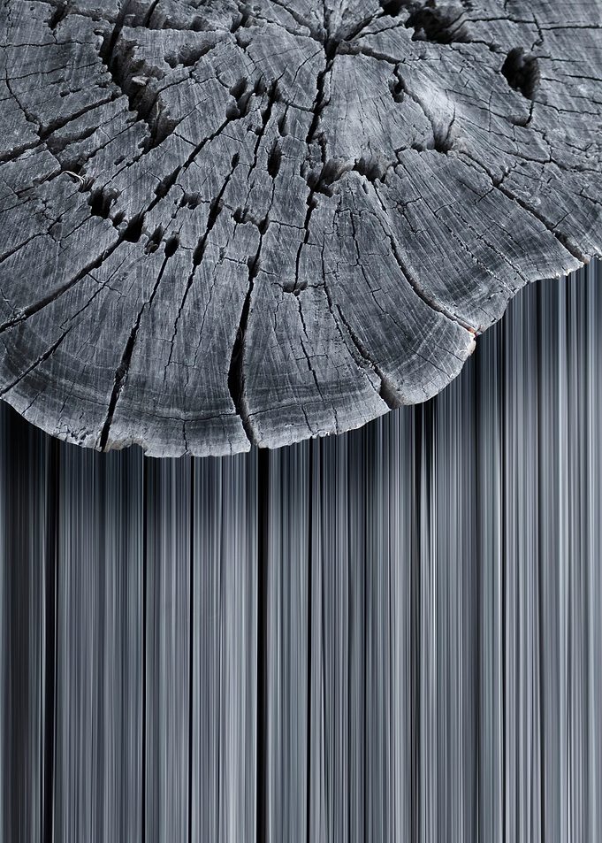 Graphich trunk I