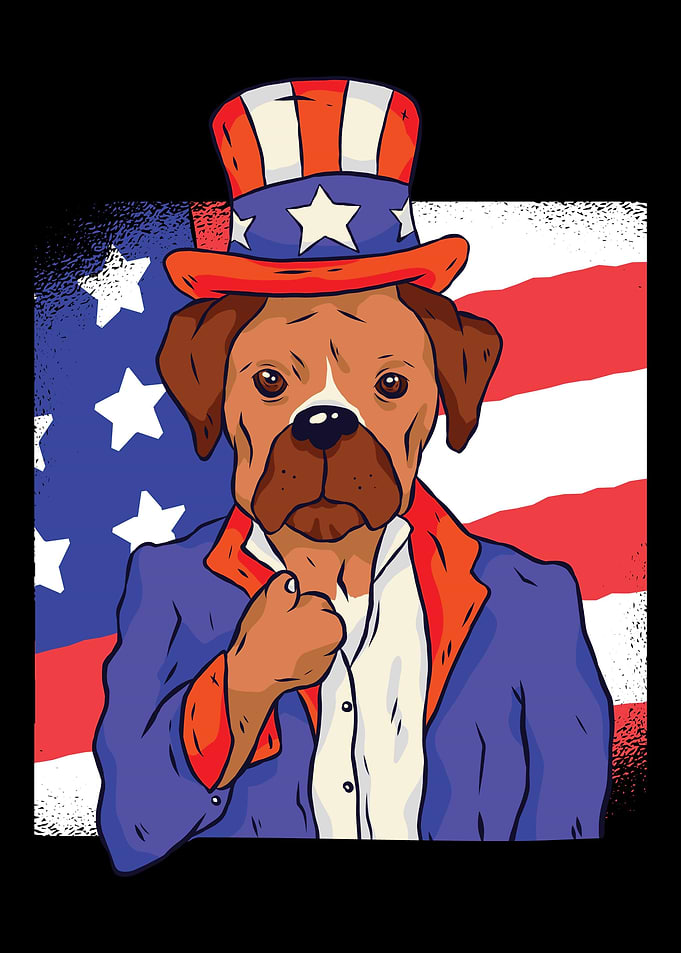 America gift