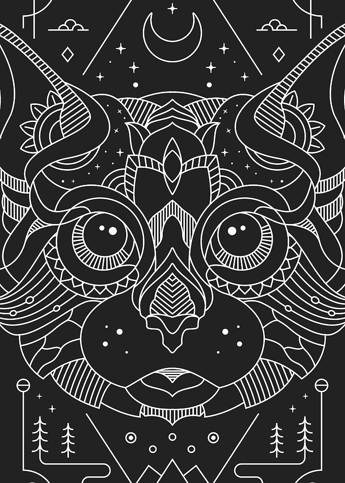 CAT CONSTELLATION LINE ART