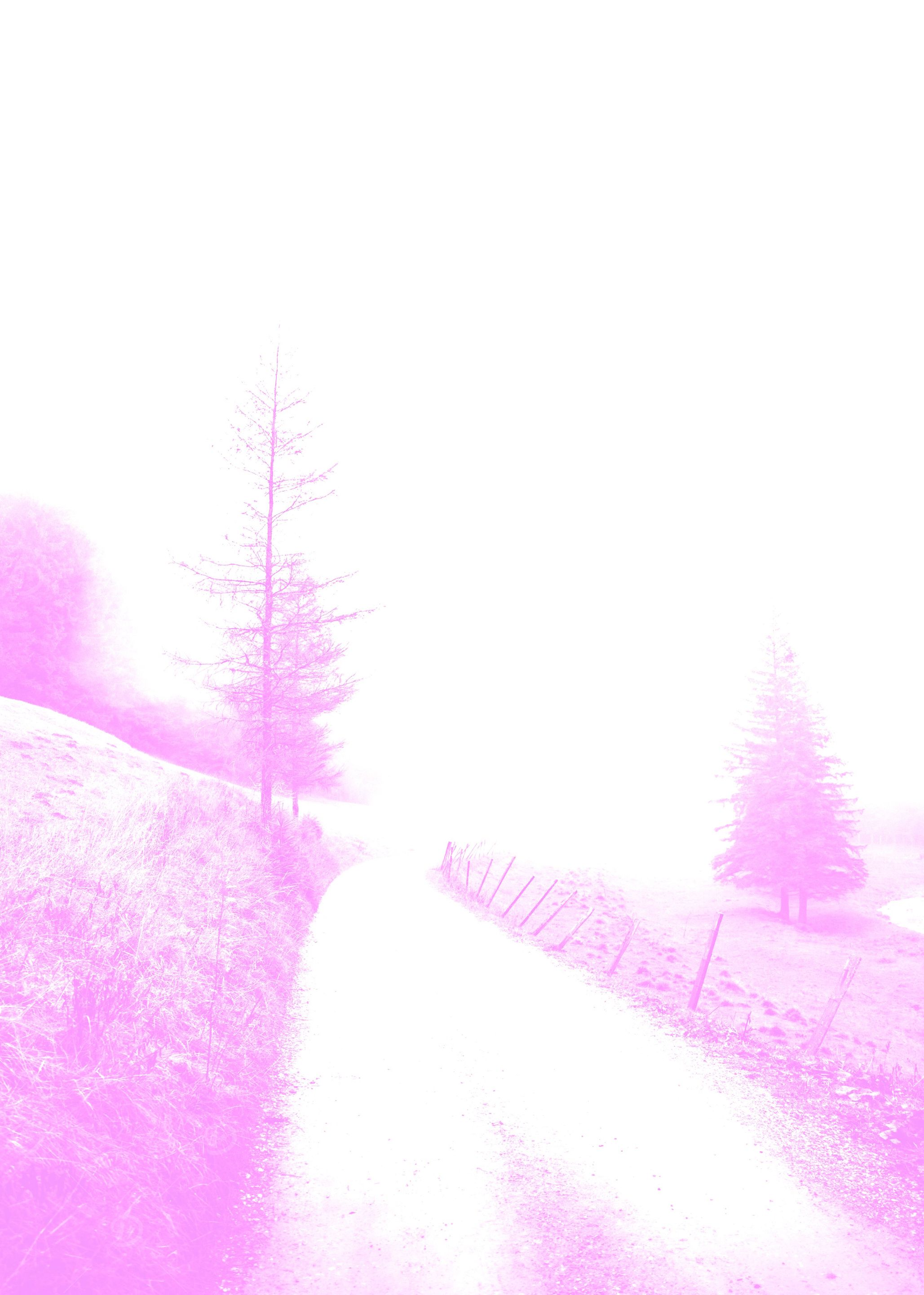 Pink Road Poster