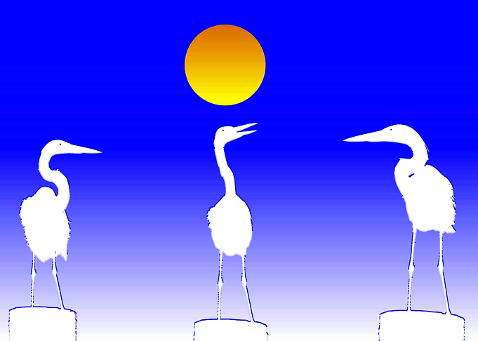 Bird talk