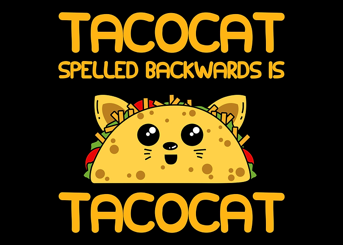 Tacocat cat kitten taco