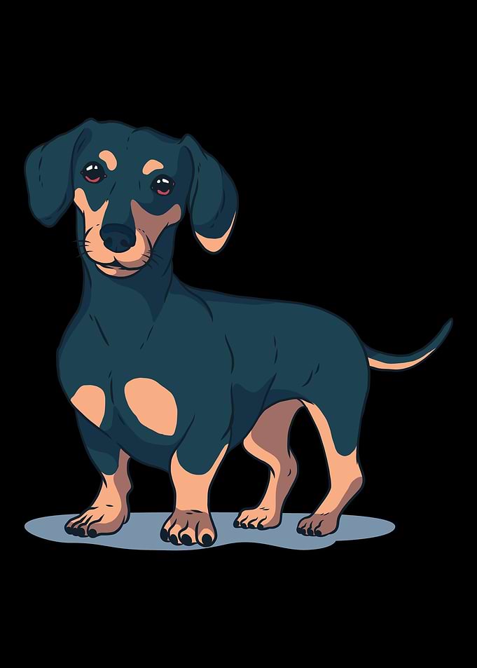 Dachshund love gift