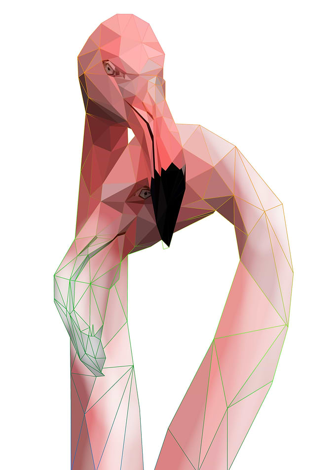 flamingo