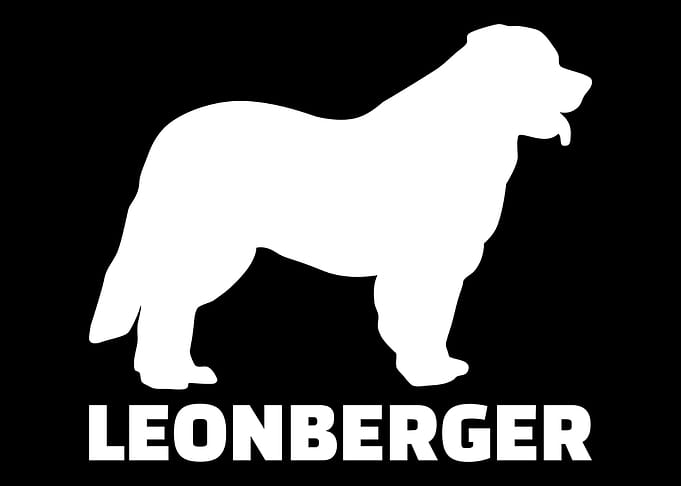 Leonberger