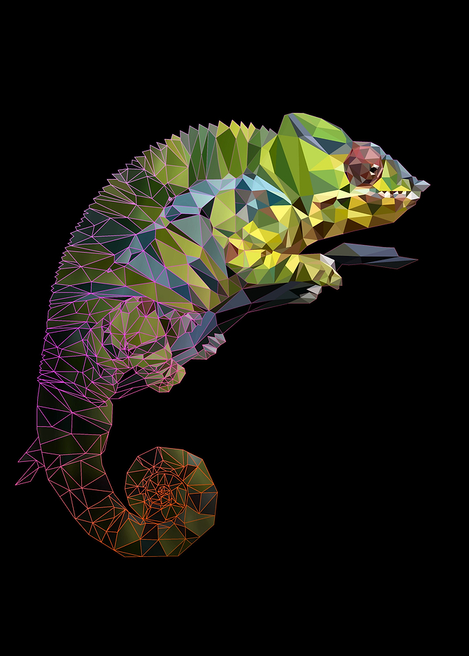 chameleon